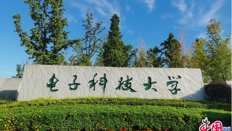 工业级电子模块：标准规范，筑牢可靠基石**